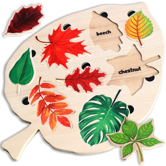 Puzzle din Lemn Montessori cu recunoasterea frunzelor [2]