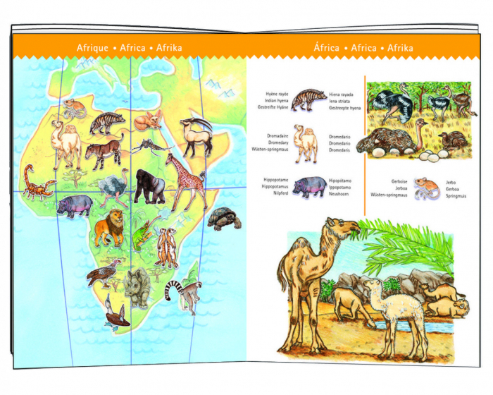 Puzzle observatie Animalele lumii, Djeco [4]