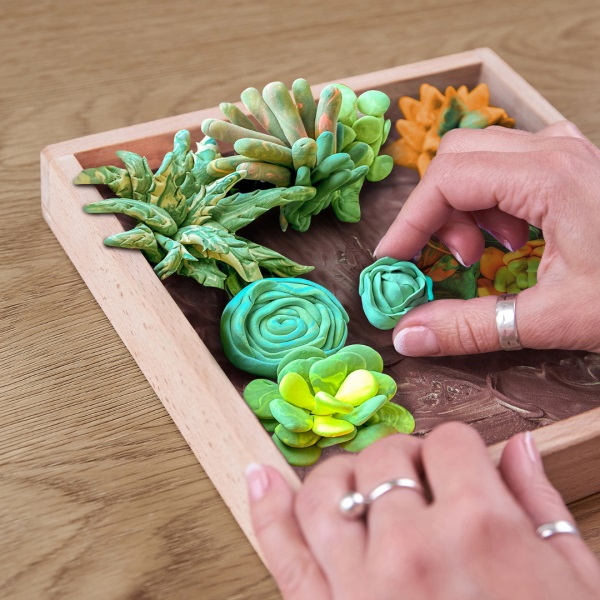 Set creatie Wood & Craft - Succulents, 21*21cm - Energy [3]