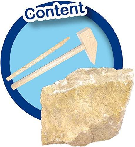 Set de arheologie pentru copii cu dinozaur [4]