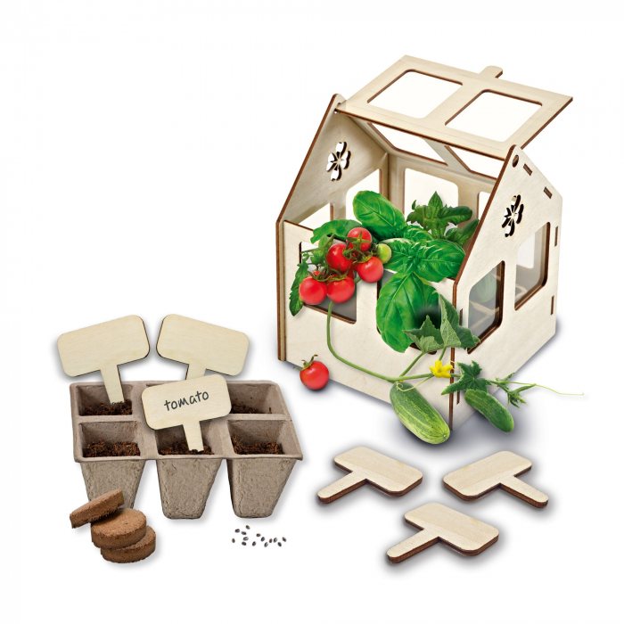 Set creativ - Sera de legume [2]