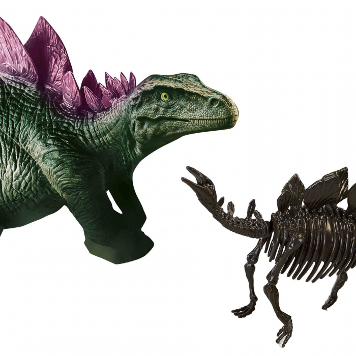 Set creativ Dino si excavarea scheletului 2 in 1 - Stegozaur [5]