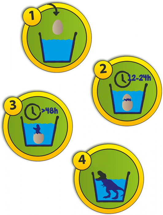 Set oua de jucarie pentru copii cu dinozauri care eclozeaza in apa [3]