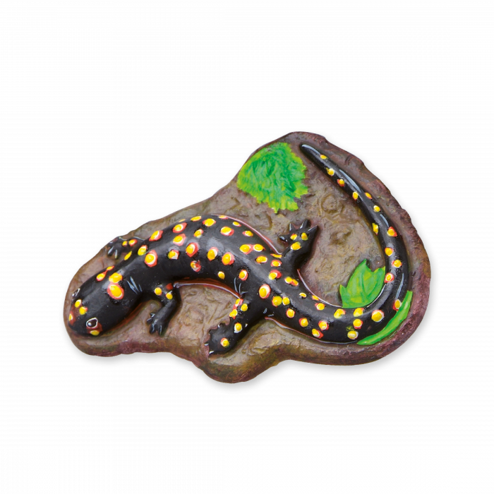 Set de lucru manual pentru copii cu animale fluorescente [3]