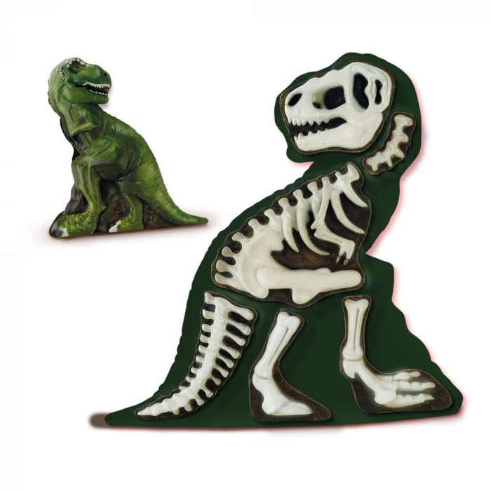 Set creativ mulaj si pictura - T-rex cu schelet fotoluminescent [2]