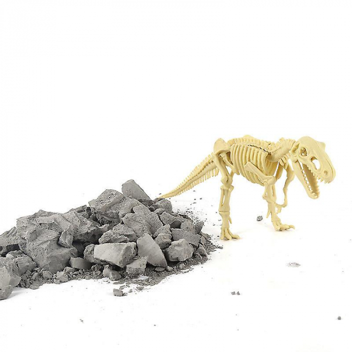Set educativ excavare, fosila Dinosaur Tyrannosaurus-Rex [3]