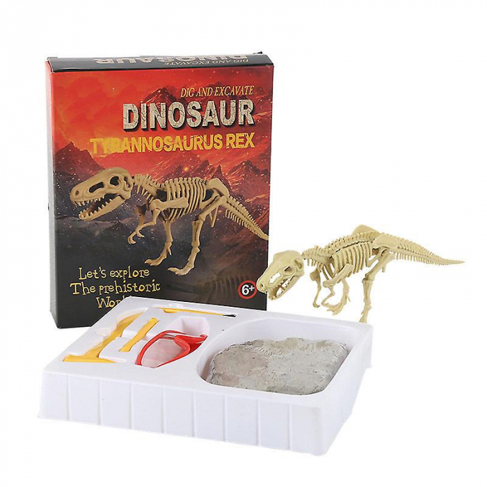 Set educativ excavare, fosila Dinosaur Tyrannosaurus-Rex [1]