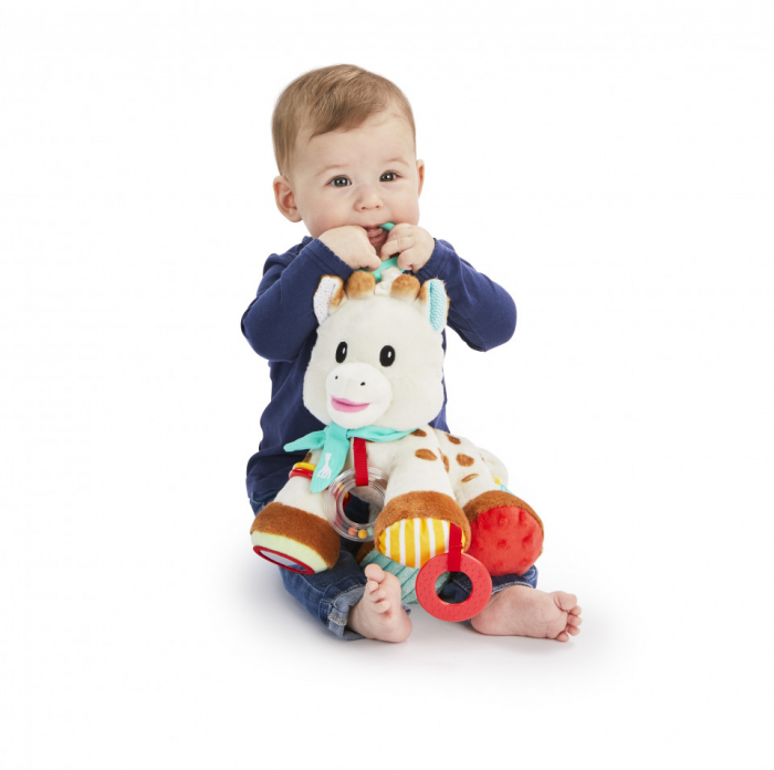 Vulli Plus cu activitati Sophie [3]