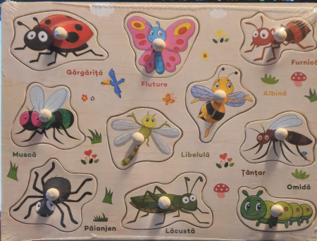 Jocuri si jucarii educative pe varsta - Puzzle din Lemn Incastru cu Maner – Insecte in Limba Romana