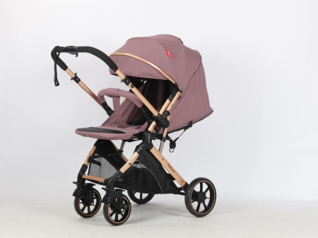 Carucior Sport Tip Troller Pliabil, Maner Reversibil, Spatar Reglabil, ROZ PUDRA [1]