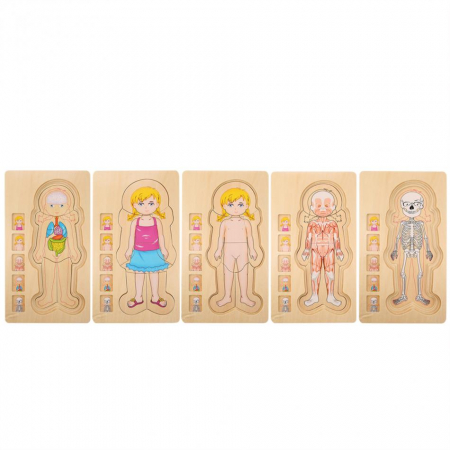 Copii 3 ani+ - Puzzle din lemn anatomia corpului uman - fetita