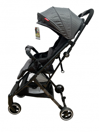 Carucior Sport, Pliabil Troller, Spatar Reglabil - Gri [4]