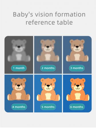 Carduri educative de stimulare vizuală diverse modele 0 luni- 3 ani [4]