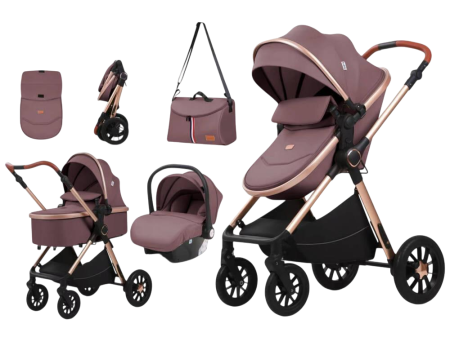 Carucior 3 in 1, Landou Inclus, Scoica Auto, Reversibil, Pliabil, Cadru din Aluminiu, 0-36 luni, ROZ PRAFUIT