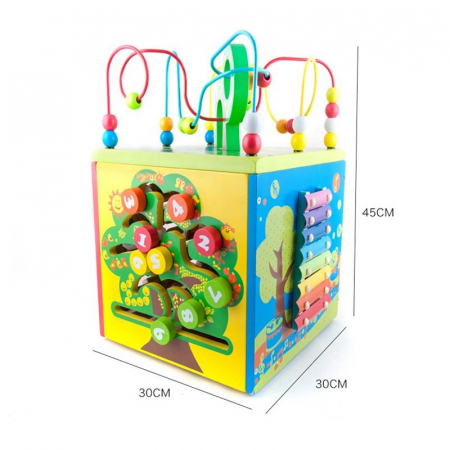 Cub centru activitati Magic Box 5 in 1 [1]