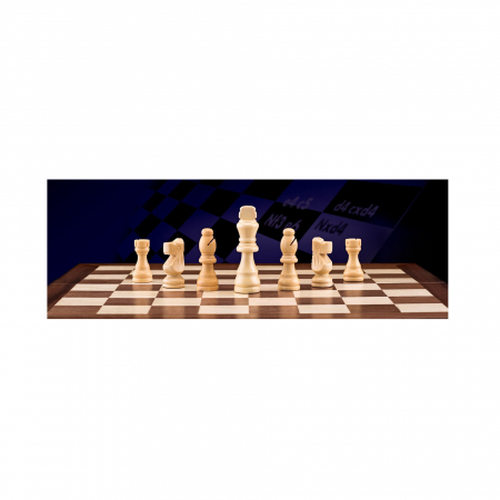 Joc clasic - Sah [4]