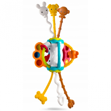 Jucarii copii si bebe - Jucarie senzoriala pentru copii Ricokids RK-750