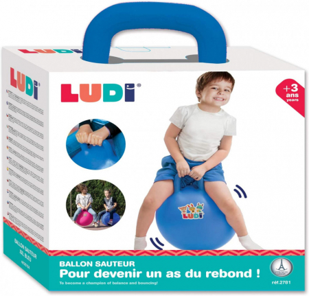 LUDI Minge saltareata Bleu 45 cm [8]