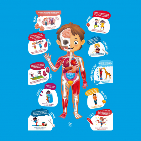 Puzzle pentru copii - Corpul Uman (61 piese) [3]