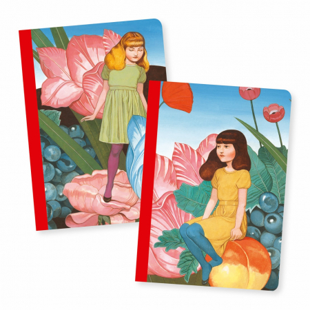Articole pentru scoala si gradinita - Set 2 carnetele Fedora, Djeco