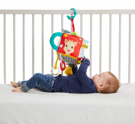 Vulli Cub activitati senzoriale Sophie la girafe [6]