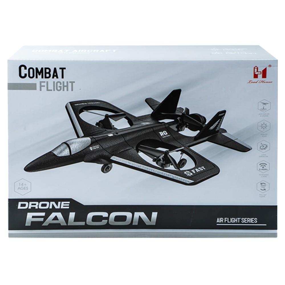 Avion cu RC [4]