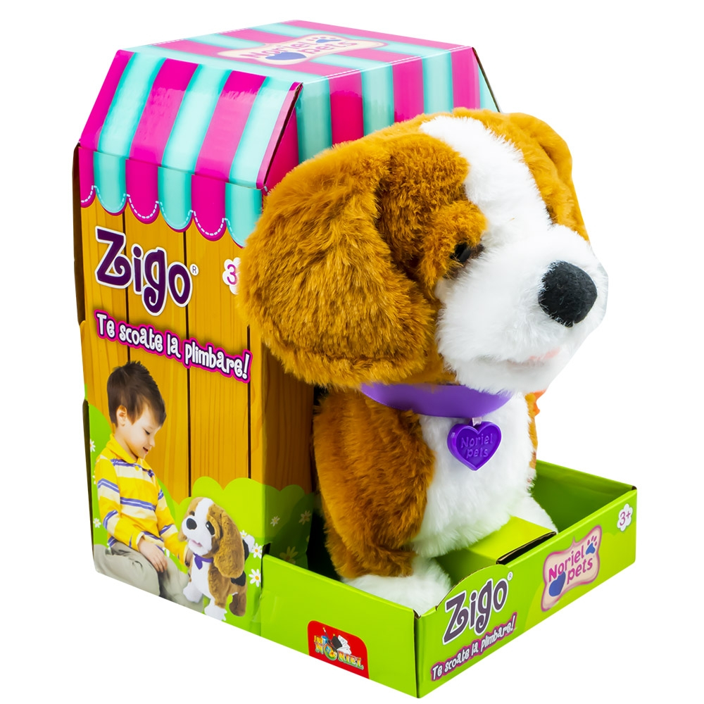 Catelusul Beagle - Zigo [1]