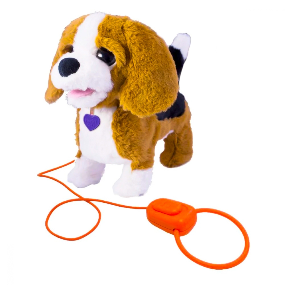Catelusul Beagle - Zigo [2]