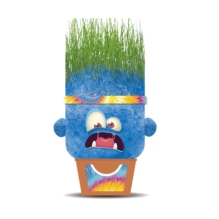 Papusa cap de iarba - Sam cel Speriat [1]