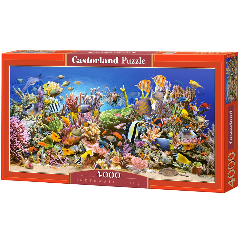 Puzzle 4000 Pcs - Castorland [5]