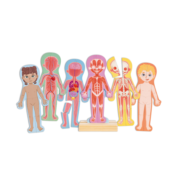Puzzle magnetic pentru copii - Corpul uman (68 piese) [1]
