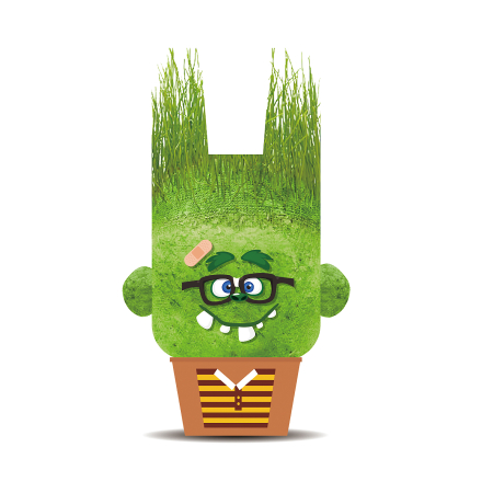 Diverse educative - Papusa cap de iarba - Charles cel Vesel