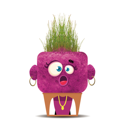 Diverse educative - Papusa cap de iarba - Sandra cea Suprinsa