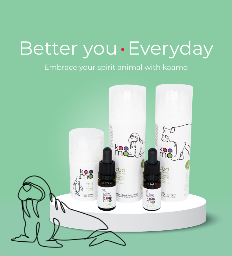 Better You - Everyday