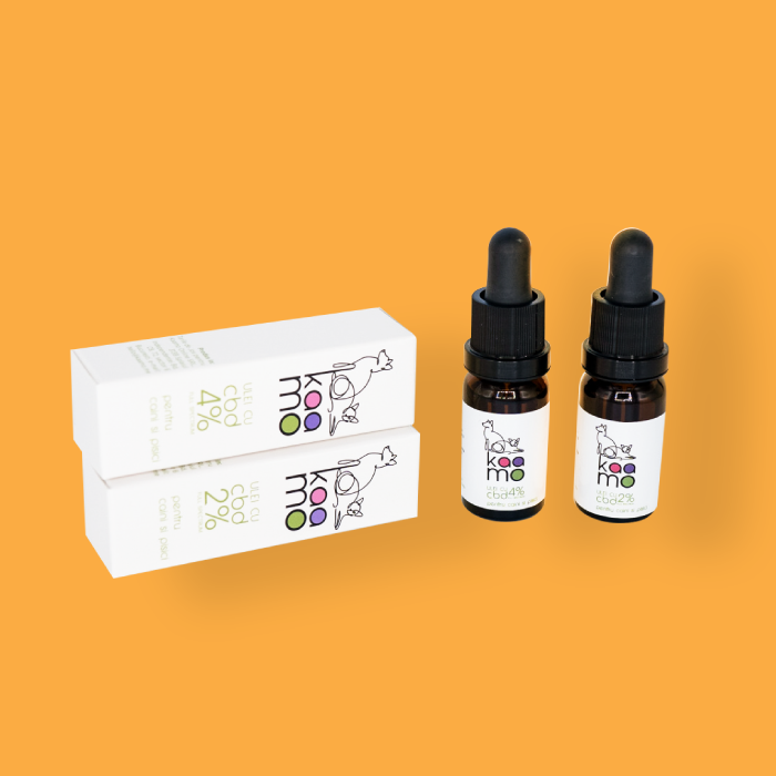 Embrace your spirit (polar) animal.