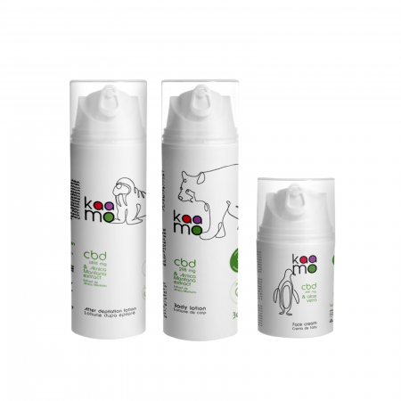 PACHETE CADOU - Cadoul pentru EA