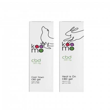 Cadoul pentru EL [1]