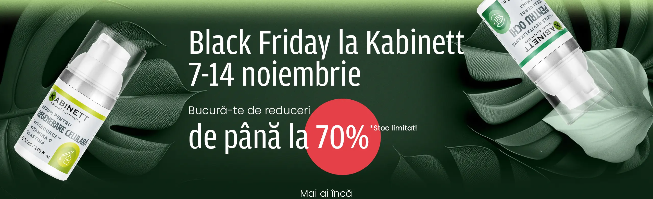 Banner Black Friday Desktop