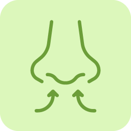 icon decongestionant
