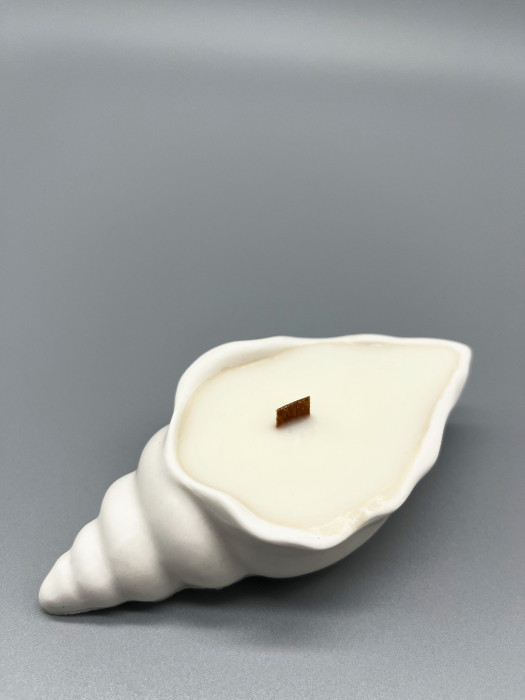 Luxury vanilla spa [6]