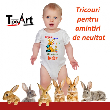Tricouri Paste - Body personalizat  model paste