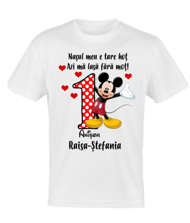 Set 4 tricouri si body pentru taierea motului, minnie cu mickey [3]