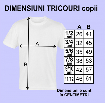 Set tricouri aniversare 1 an, tema Minnie roz, 9 piese [5]