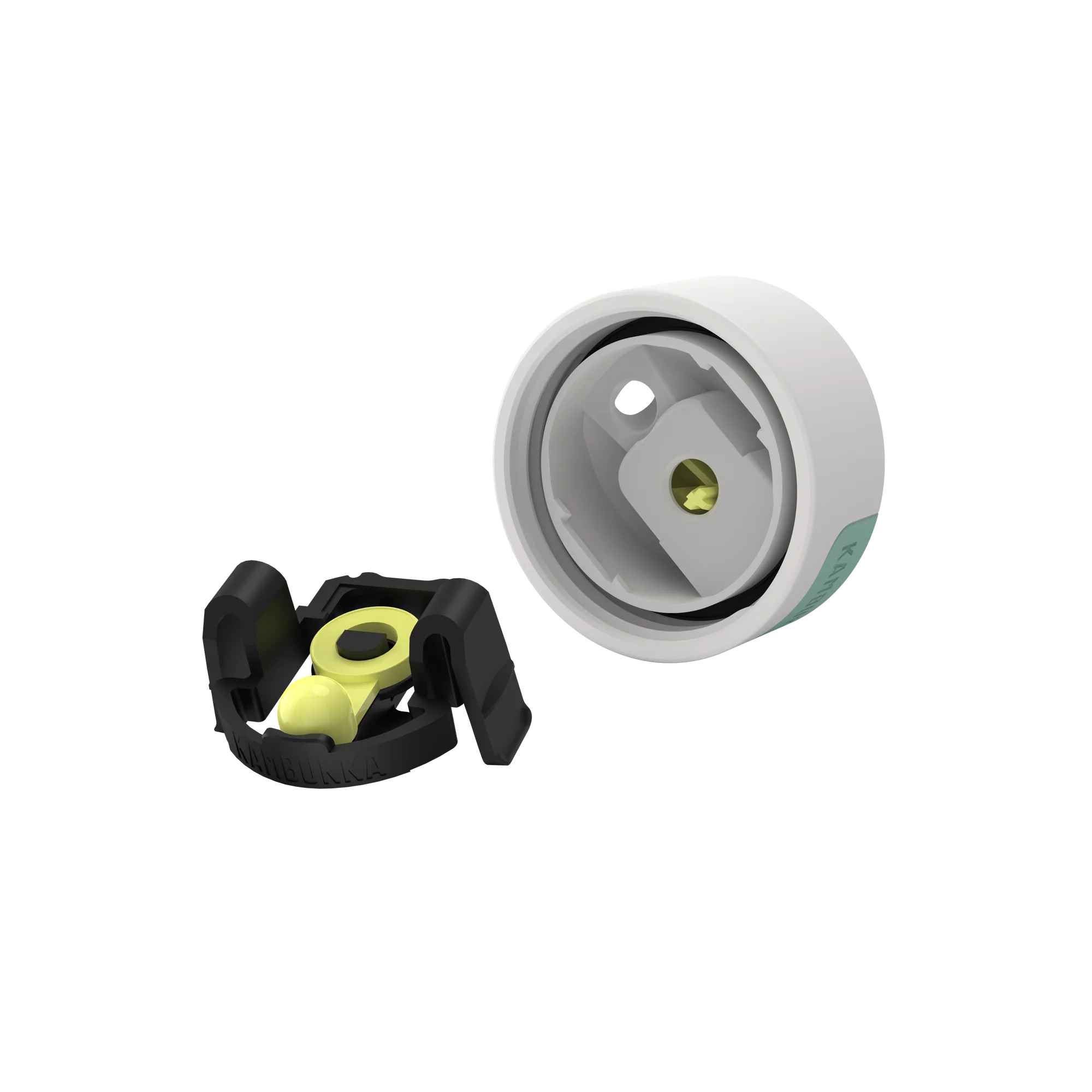 OLYMPUS 300 - Enchanted forest [3]