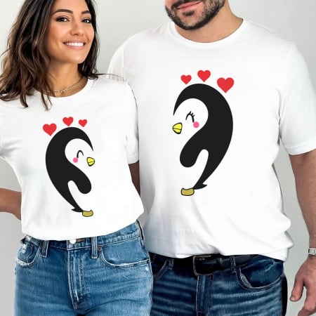Seturi - Pinguins love