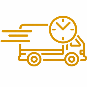 Fast delivery