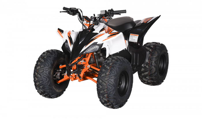 KAYO - ATV AT125 [2]