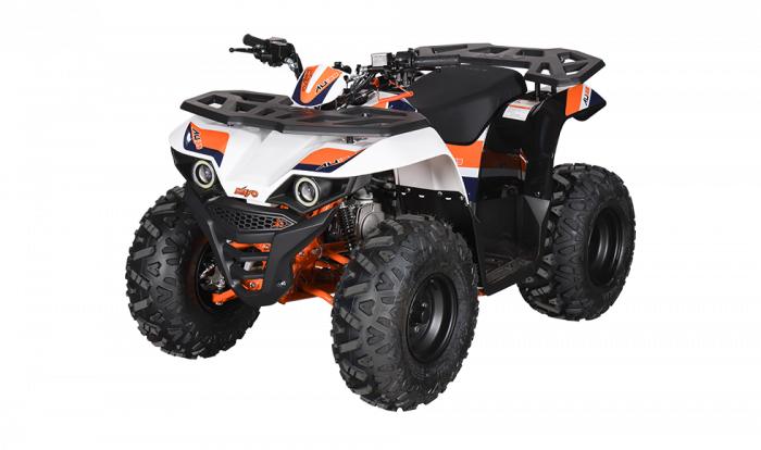 KAYO - ATV AU125 [2]