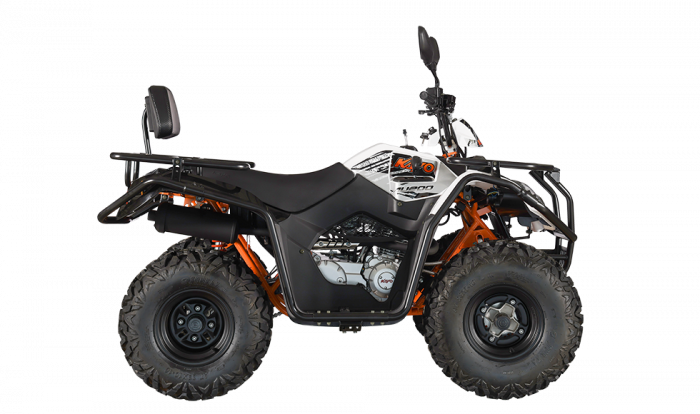 KAYO - ATV  AU200 inmatriculabil T3b [7]