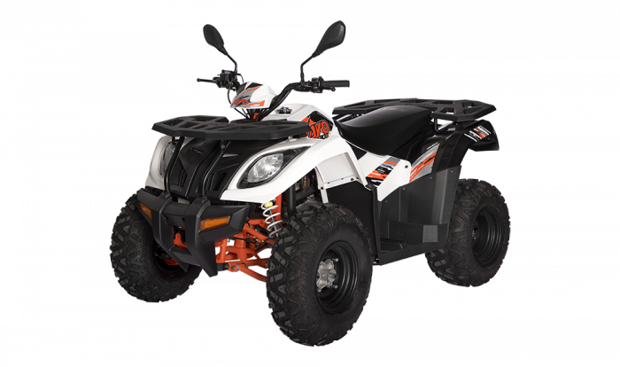 KAYO - ATV  AU300 inmatriculabil T3b [2]